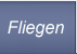 Fliegen